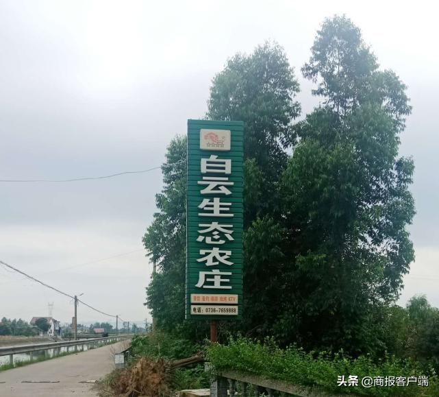 湖南稻湖生态农业开发有限公司,湖南白云生态农业