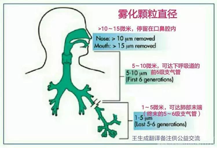 雾化吸入的注意事项及方法,雾化治疗后有哪些误区