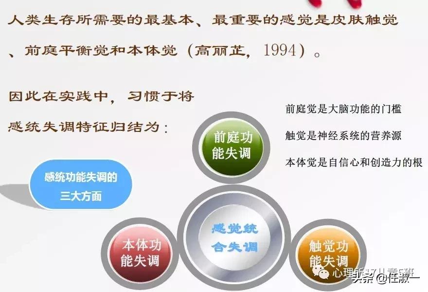 别乱给孩子贴“感统失调”的标签，先来理解什么是感觉统合