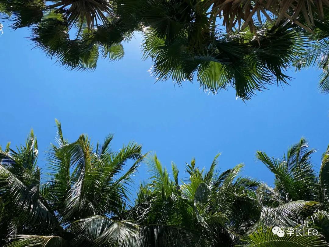 哈佛学长碎碎念：夏天就应该去海边，南方的海有多美？