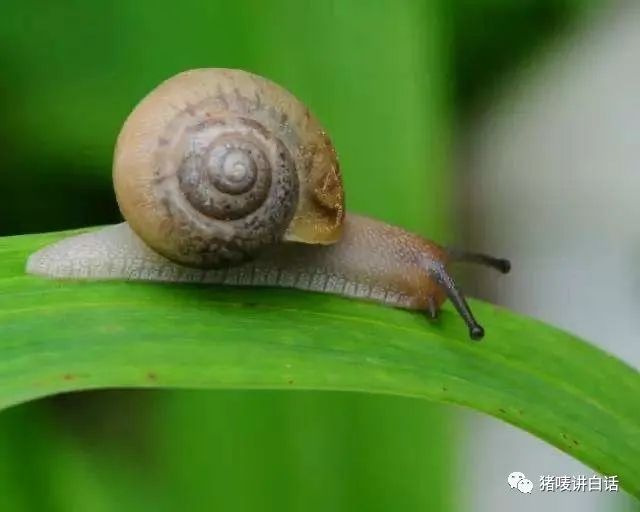 钦州童年回忆,钦州农村人童年的回忆