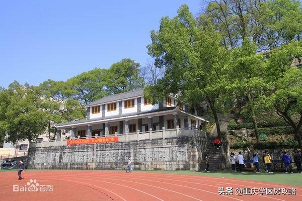 南岸区优质初中,南岸区优质中学
