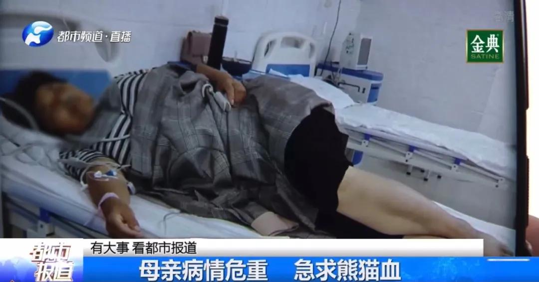 急需熊猫血救命的人,郑州女子失血休克急需熊猫血