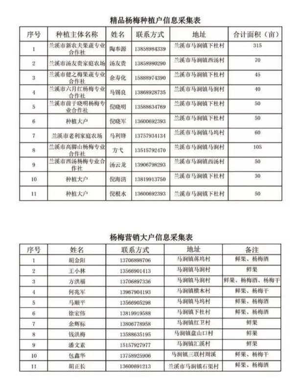 兰溪杨梅正式开摘！最强采摘攻略出炉，五十里杨梅长廊够吃吗？杨梅自由就是现在！