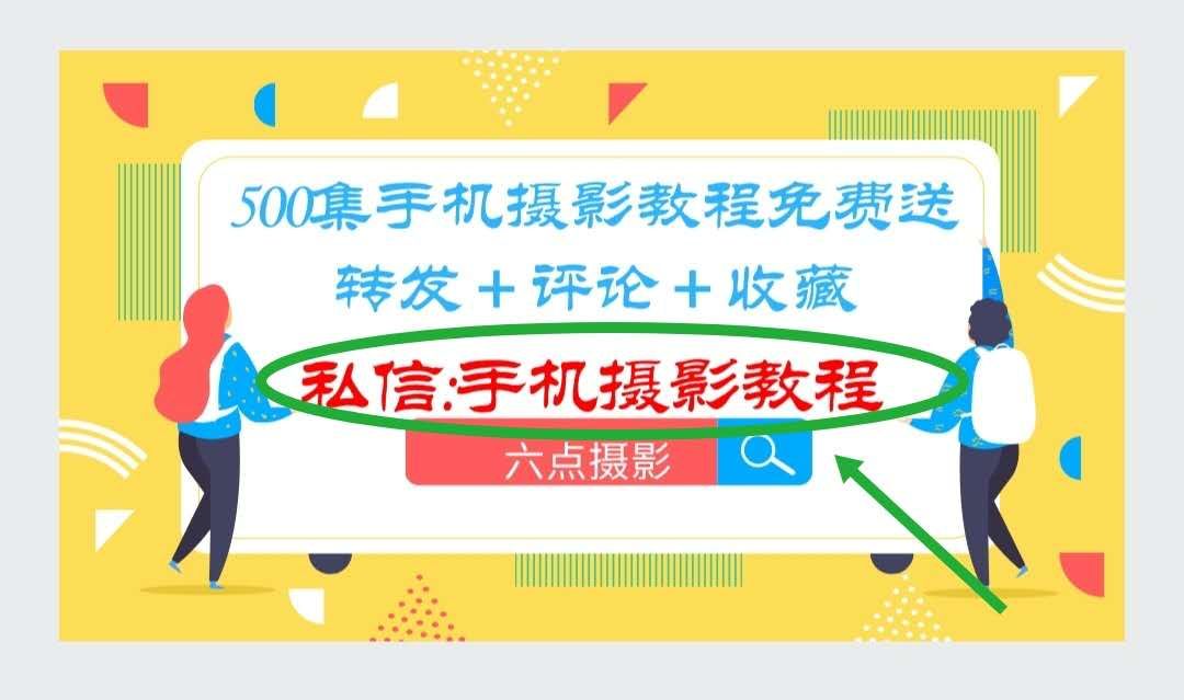 鸟类摄影拍摄技巧和精美照片展示,怎么拍摄鸟类视频