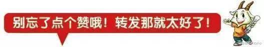 李小璐祖籍安徽安庆市哪个县,李小璐出生于安徽安庆