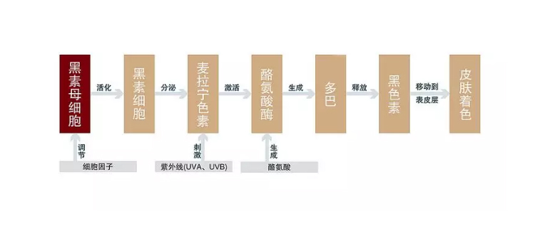 护肤重要步骤：根据这三步挑精华，皮肤再差都有救