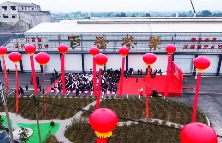 “百岳”来了！全国第一条立体布局出口绿茶生产线在夹江投产