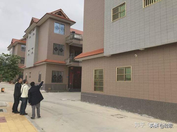 玛塔牡蛎钙对盐碱地的作用,玛塔牡蛎