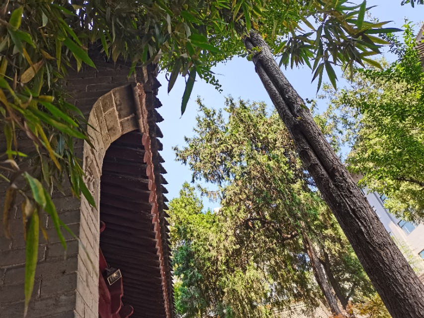 罔极寺巷,罔极寺是尼姑庵吗