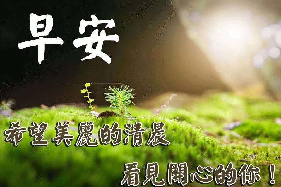 4月25日早上好问候语,清晨给好朋友早安温馨祝福语大全
