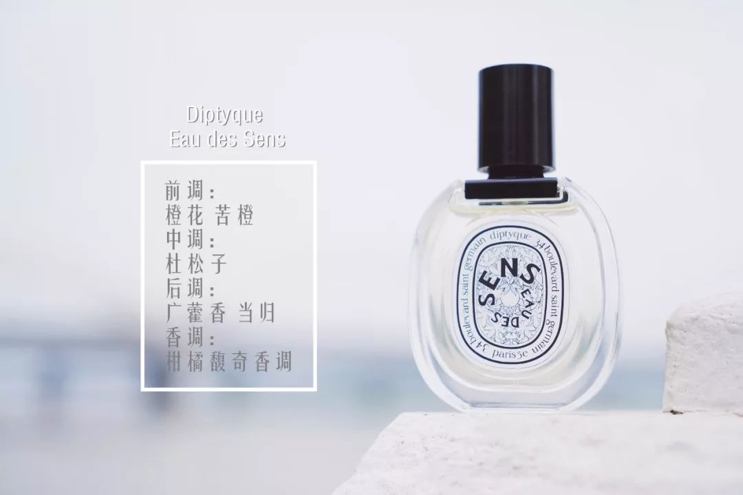 总有一款香水适合你各种香水分类,十大公认最好闻的香水香氛