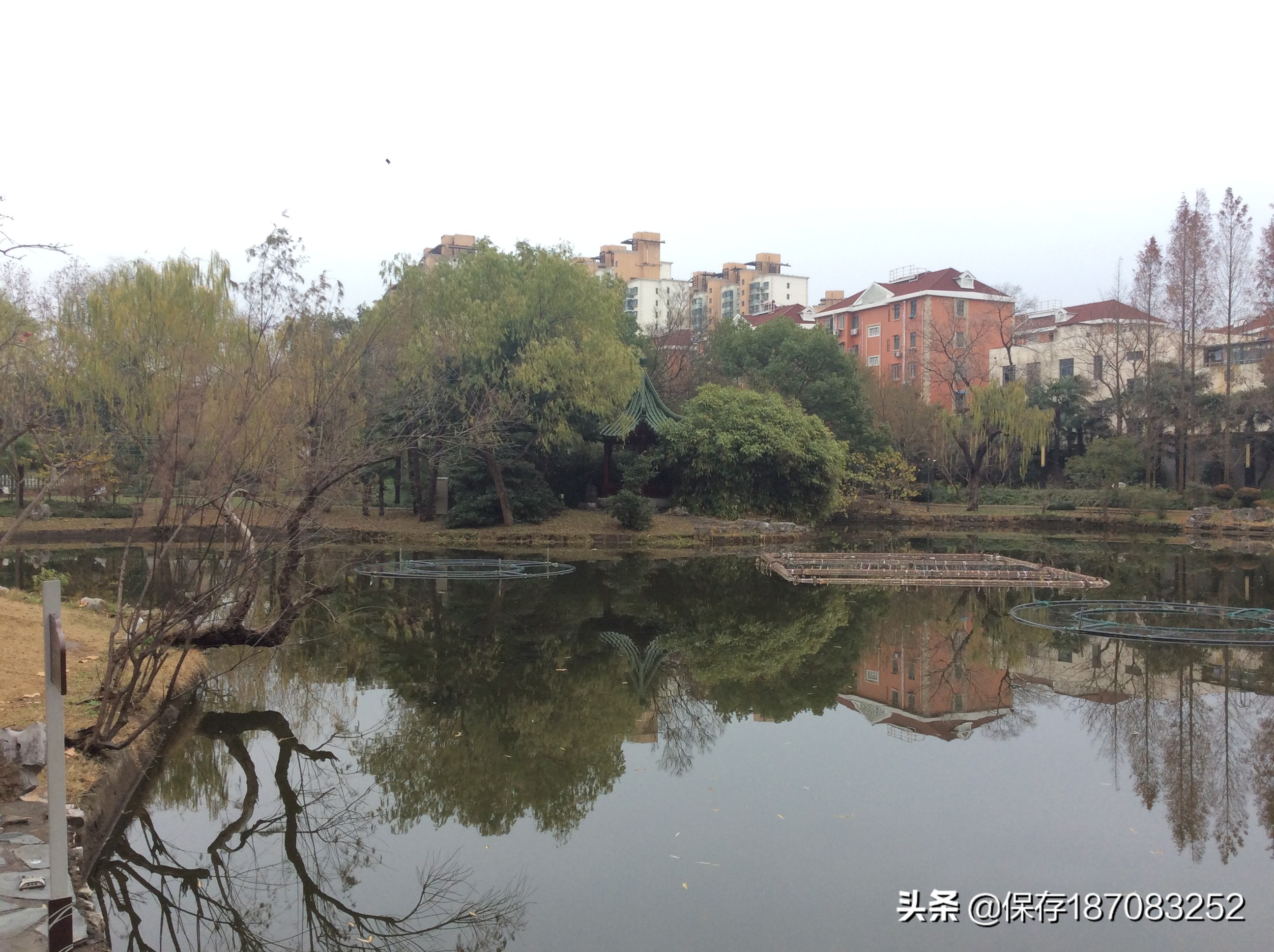 上海普陀山公园,普陀区长风公园在哪