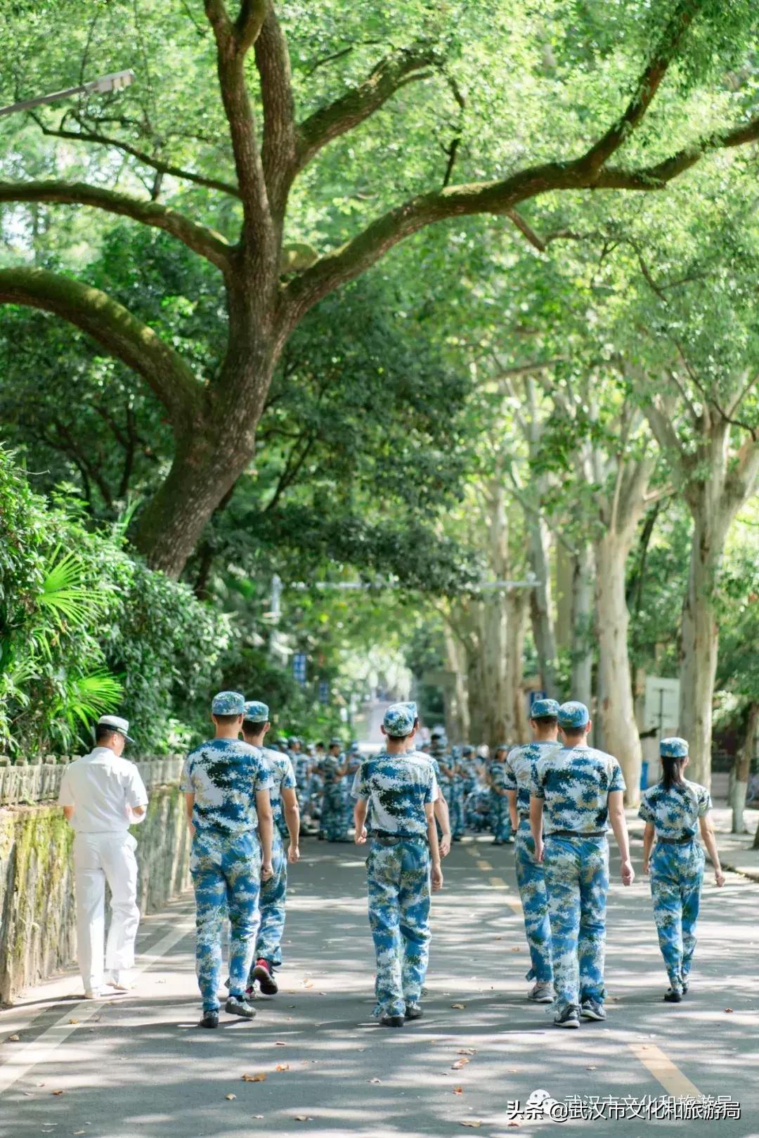18岁来深圳的感受,一个人来武汉的感受