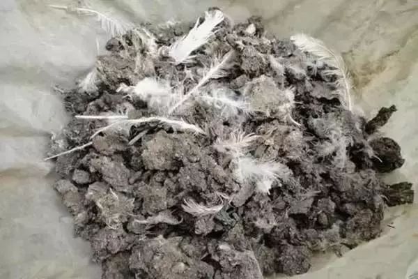 牛粪猪粪鸡粪牛粪各有什么优缺点,牛粪鸡粪猪粪混合哪个肥效更好