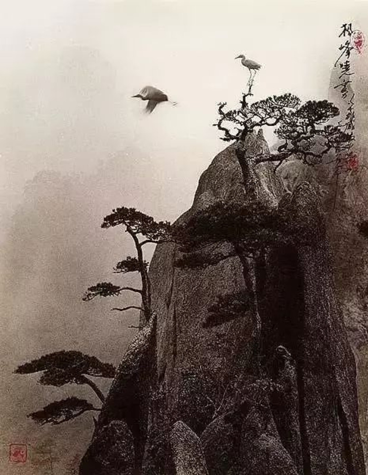 拍照图片加字教程,拍照片加文字技巧