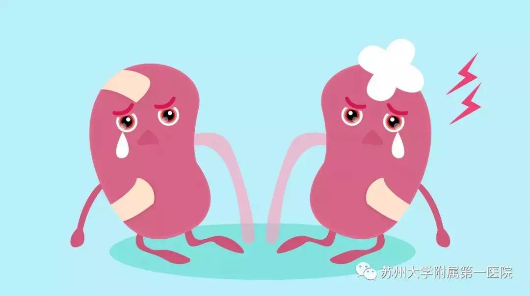 补肾可以缓解肾衰吗,治肾养肾小诀窍