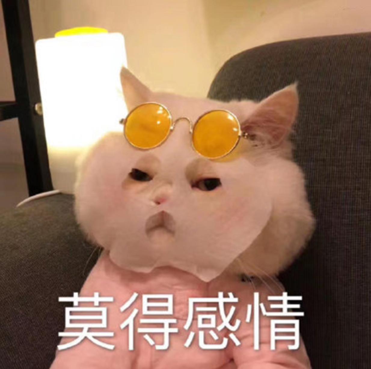 三星真不值得买吗,三星中国市场的没落史