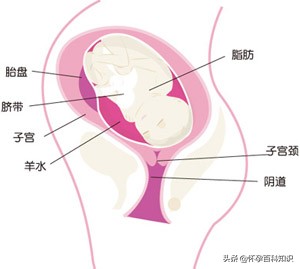 孕妈怀孕第三十五周，选择好分娩医院和“坐月子”的地点