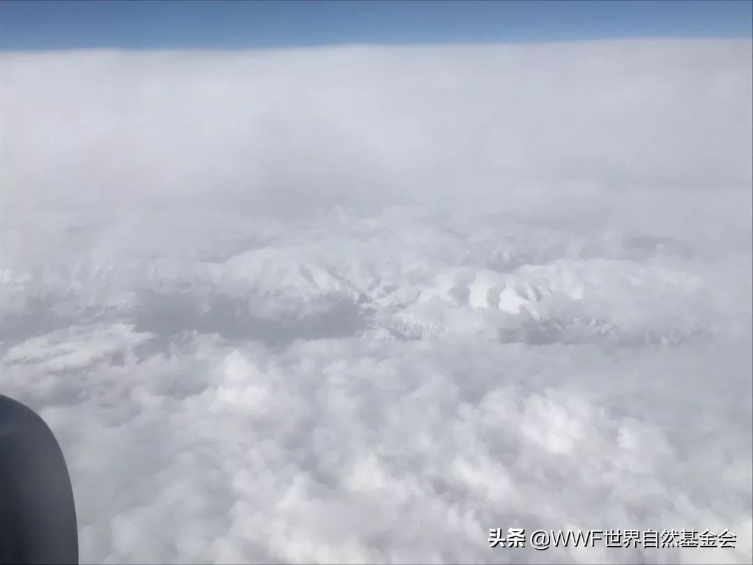 怎么品味红茶,怎样品味一壶好茶