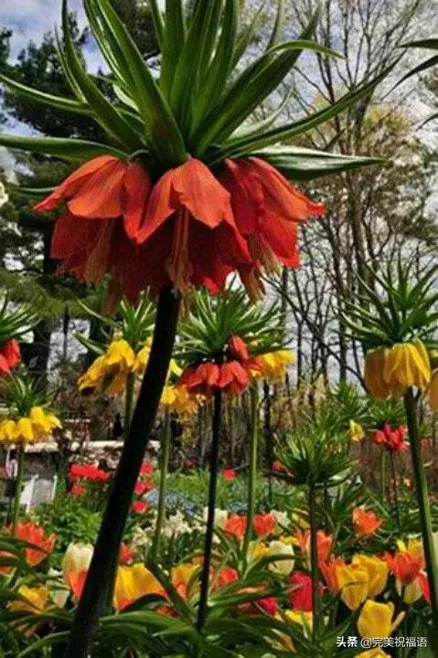 六一相册影集,六一照片专场