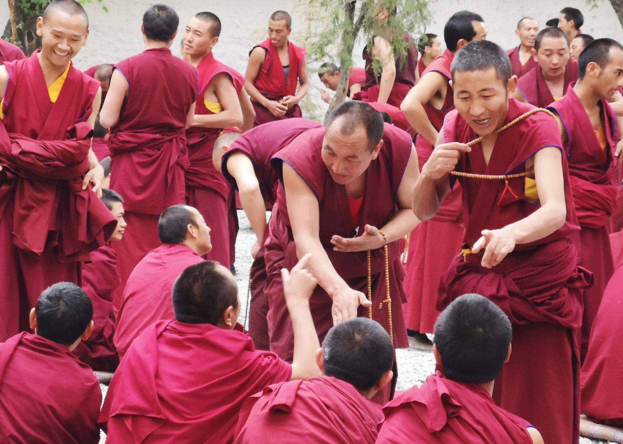 甘南自驾游景点,西安到甘南10天自驾游攻略