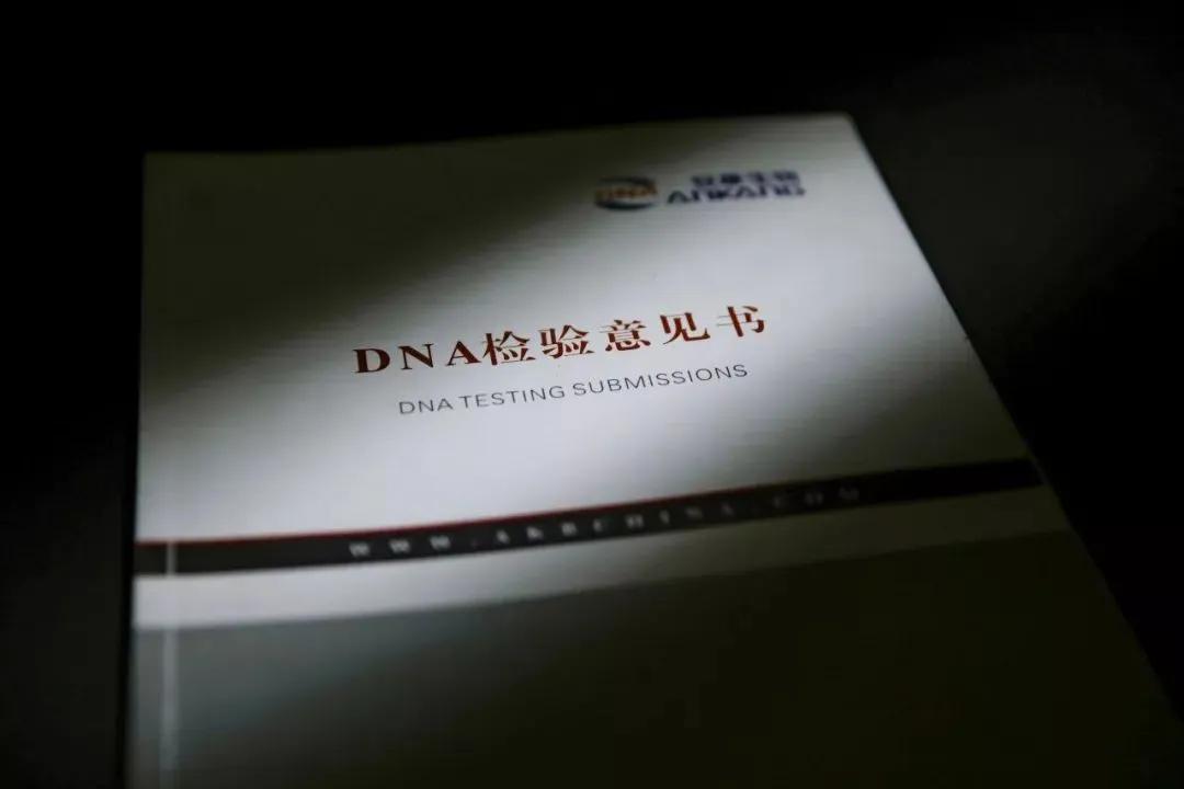 亲子鉴定师的真实讲述,亲子鉴定师经历过的奇葩事