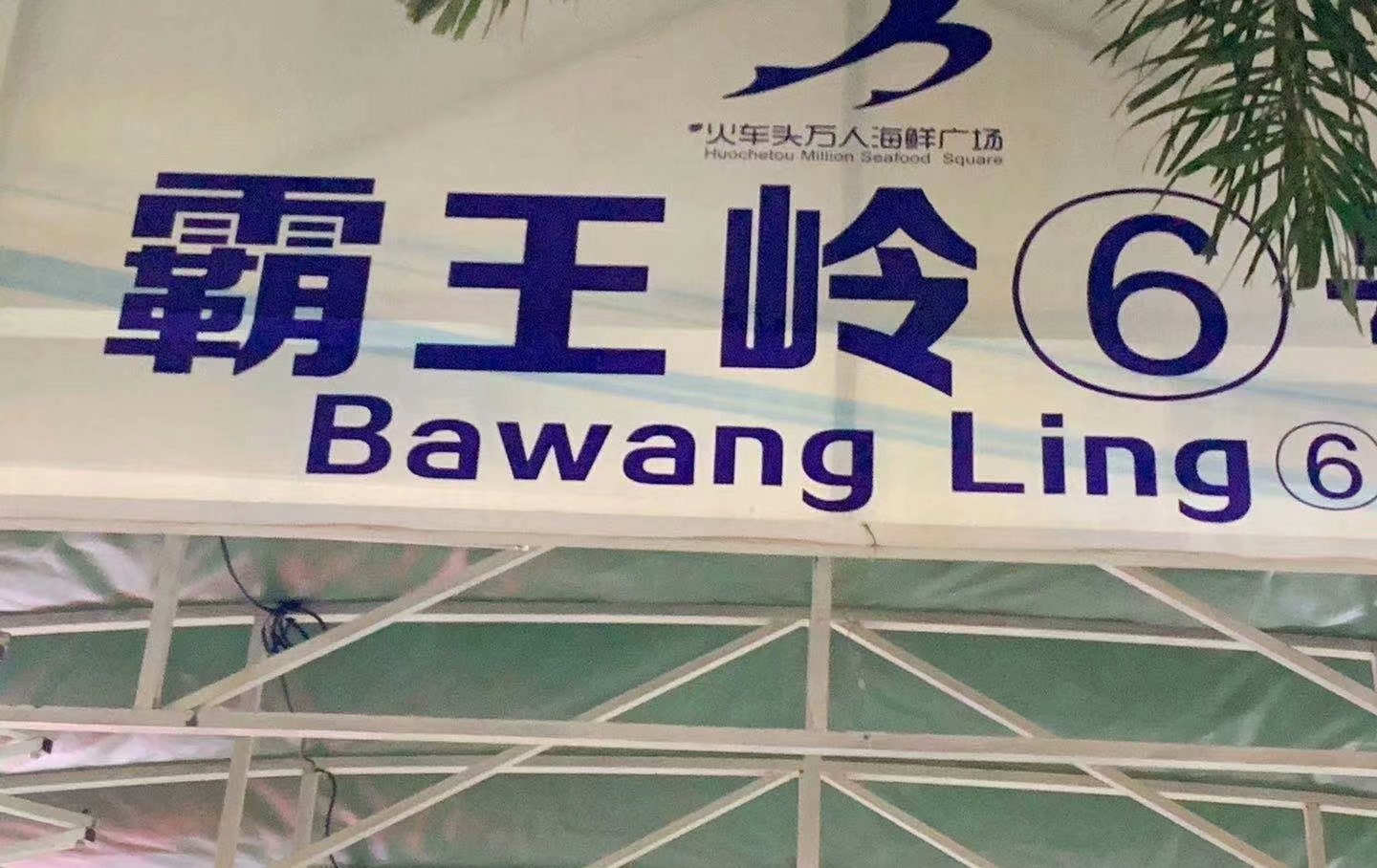 在这个阳光明媚的春季,在这个阳光灿烂的日子里