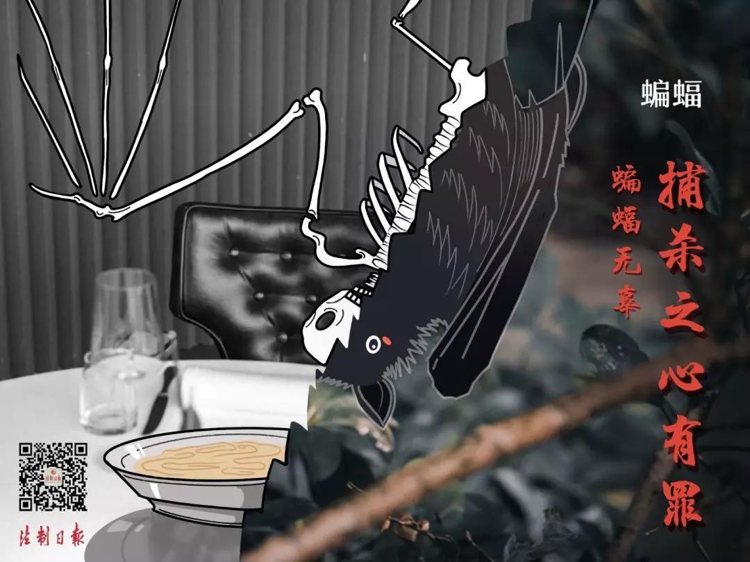 拒绝野味成为自觉举止,拒绝野味管不住嘴