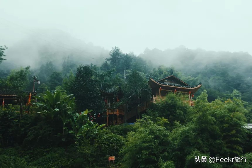 全网为阿朵淘汰鸣不平，而我想去她隐居5年的“世外桃源”静一静
