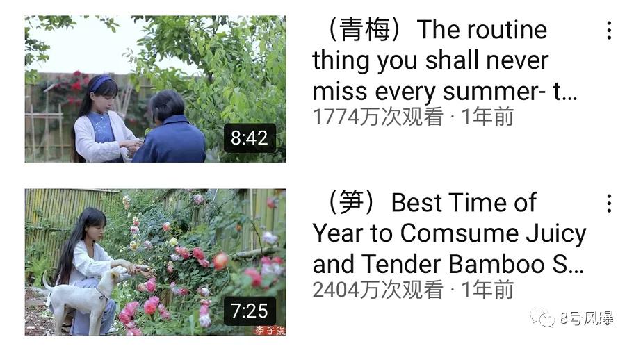 气人！偷了就能变成自己的了吗？