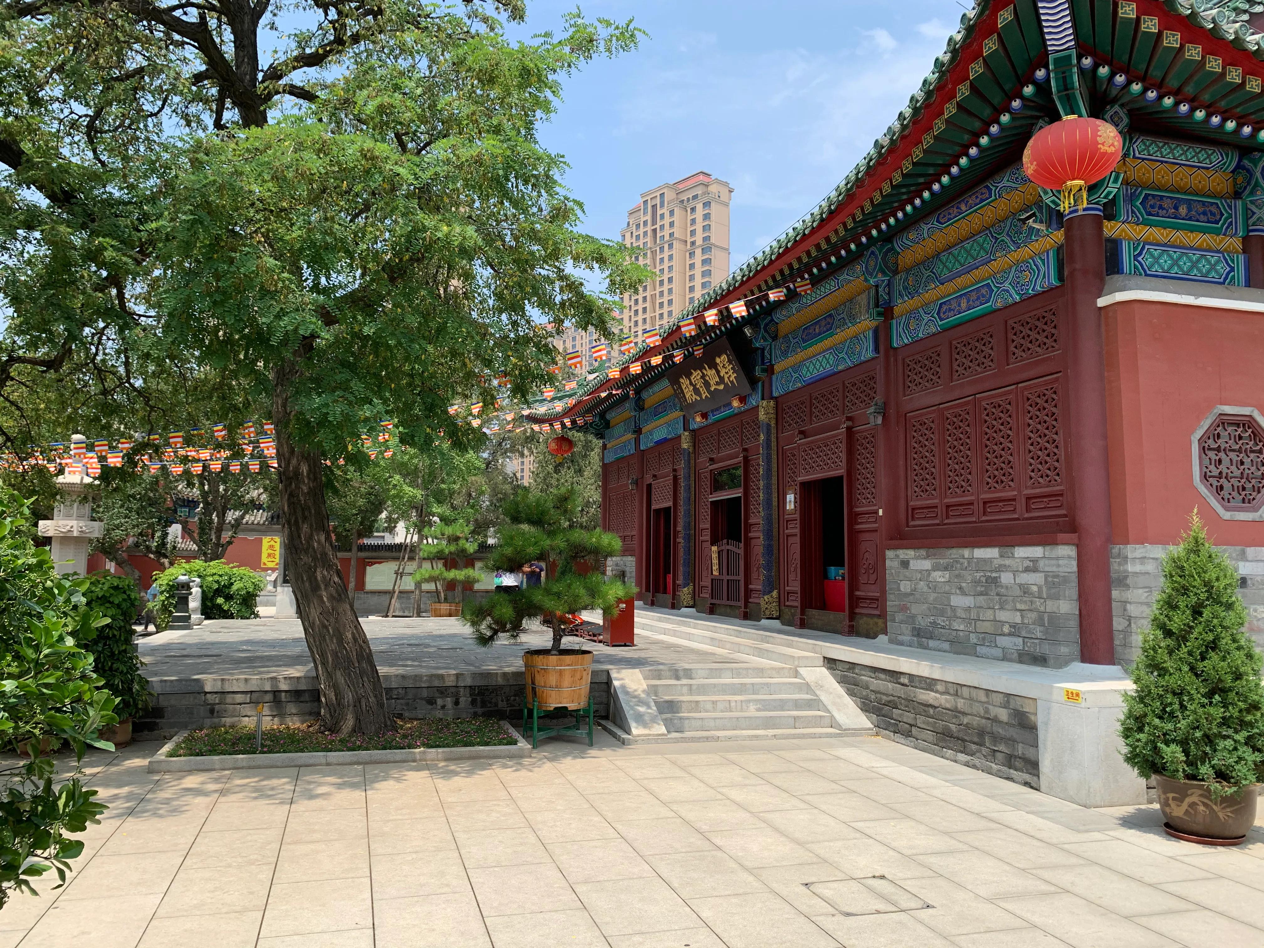 天津市河北区古刹大悲禅院,天津大悲禅院免费吗