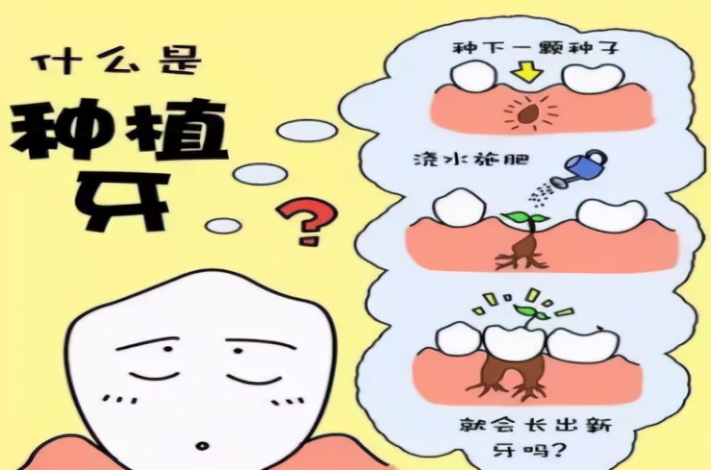 牙齿那些事儿调查表,牙齿那些事幼儿园调查表大班