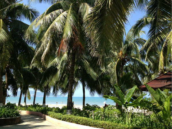 三亚自由行旅游攻略超详细哦,三亚旅游自由行全攻略