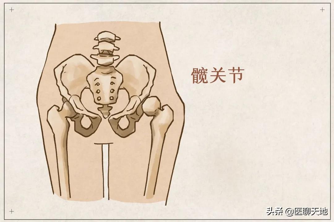 青医附院髋关节置换,髋关节置换亲身经历