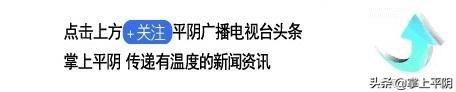 平阴新闻|晁广强成功捐献造血干细胞凯旋归来；昨日花蕾价格3.47元/斤