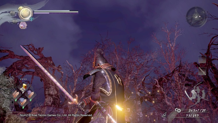 仁王大太刀武功,仁王太刀图片大全