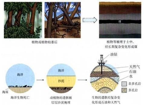 初中化学燃料及其利用中考题,初三化学燃料及其利用复习教案
