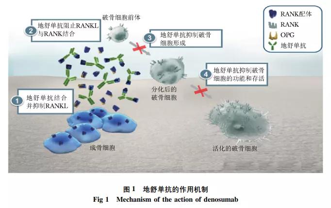 治疗骨转移的特效针,治骨转移瘤的靶向药