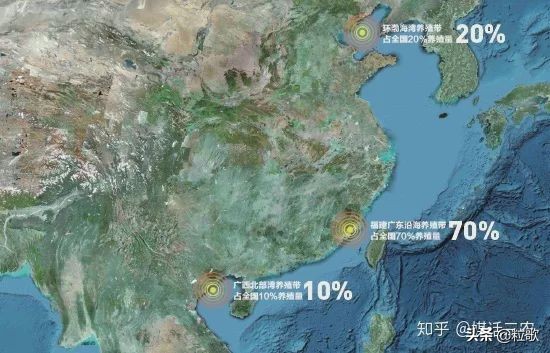玛塔牡蛎钙对盐碱地的作用,玛塔牡蛎