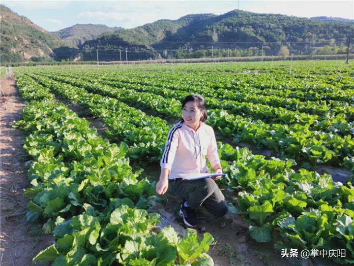 甘肃庆阳驻村干部王红梅：真情像梅花开过