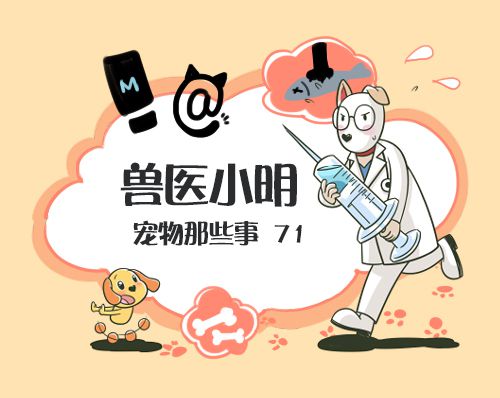 狗狗肛门腺发炎怎么治疗,狗狗肛门腺发炎烂洞该用什么药