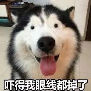 拳头大的“虫皇帝”悄悄潜入太原！国内无天敌！海关首次截获！一旦入侵后果难料