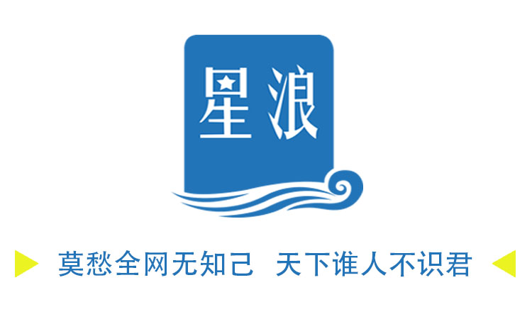 新浪综合网怎么写软文,星浪综合网软文如何写