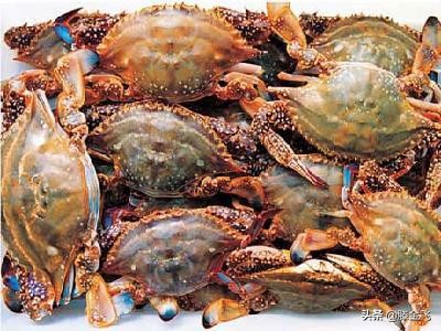 铻冭煿娉ㄦ按杈熻埃,铻冭煿琚笉灏忓績鏀炬按閲屼簡