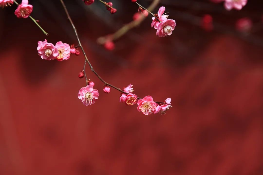 冬季小腿瘙痒是什么原因,冬季皮肤瘙痒症偏方