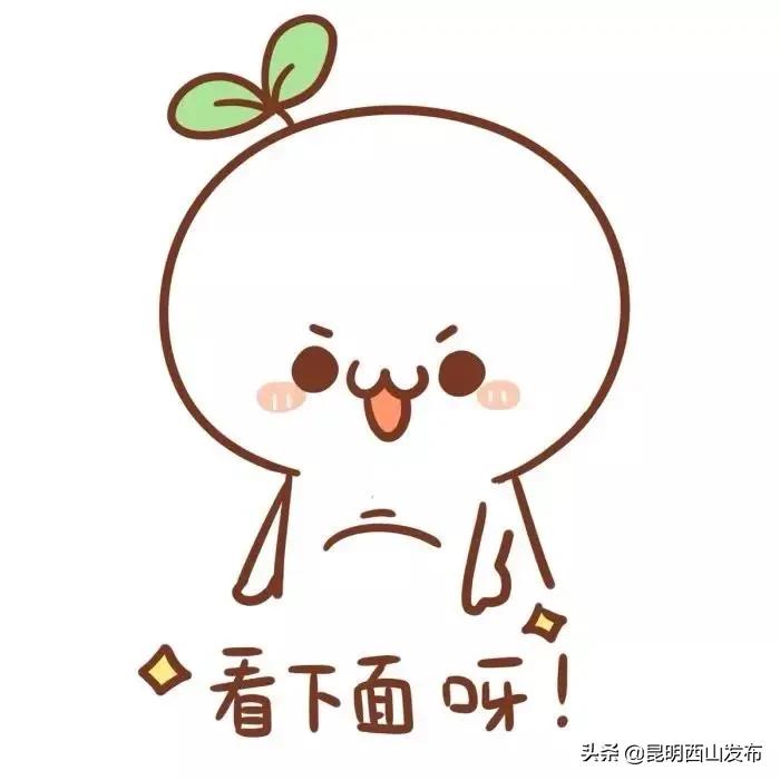 超声检测时医生涂抹的液体是什么,超声检查涂在身上的是什么