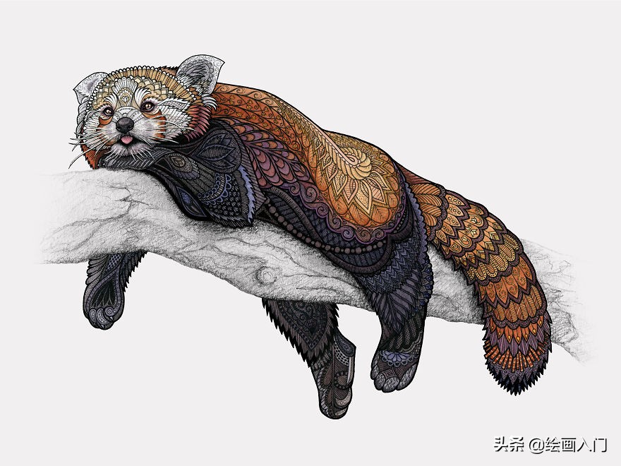 复古气息的几何图形插画,插画师的动物花卉水彩插画作品