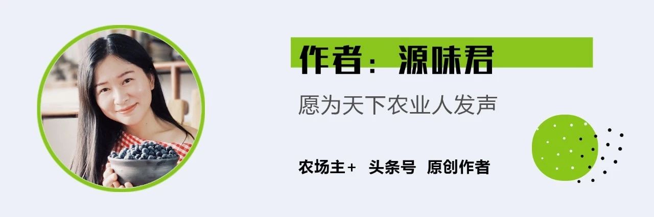 农村不起眼但利润高的小生意,利润高不起眼的项目创业