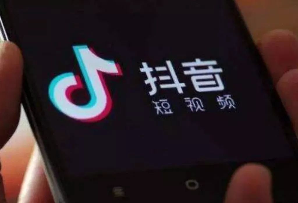 抖音宠物店怎么运营,宠物实体店要不要做抖音